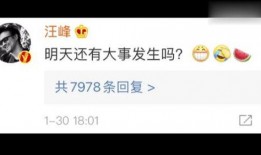 娱乐圈吃瓜公众号起名,揭秘那些年我们追过的“瓜”