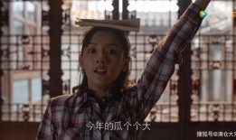 吃瓜娱乐圈疯子,揭秘“吃瓜疯子”背后的疯狂故事