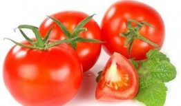 穿书去娱乐圈吃瓜番茄,番茄在娱乐圈的瓜田漫步