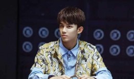 吃瓜娱乐圈吴磊是谁的孩子,娱乐圈新星，揭秘其神秘身世之谜