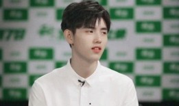 吃瓜娱乐圈吴磊是谁的孩子,娱乐圈新星，揭秘其神秘身世之谜