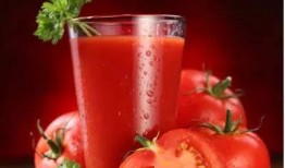 穿书去娱乐圈吃瓜番茄,番茄在娱乐圈的瓜田漫步