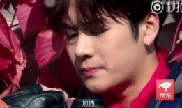 吃瓜娱乐圈王嘉尔是谁,娱乐圈的瓜中明星