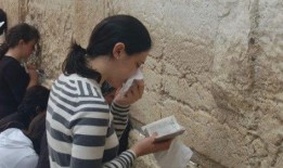 娱乐圈的吃瓜鹅,揭秘“吃瓜鹅”背后的八卦盛宴