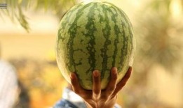 2021年娱乐圈吃瓜,瓜田李下，明星们的年度大揭秘